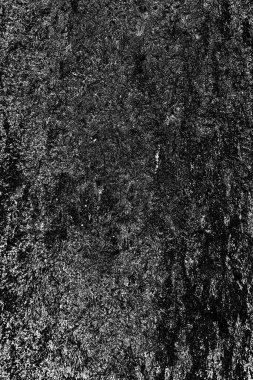 Soyut arkaplan. Monokrom dokusu. Resim siyah ve beyaz tonları içerir.