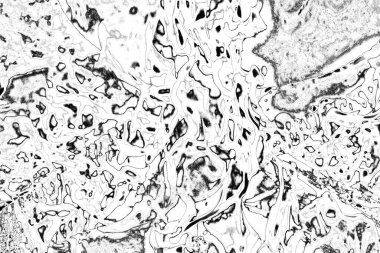 Soyut arkaplan. Monokrom dokusu. Resim siyah ve beyaz tonları içerir.