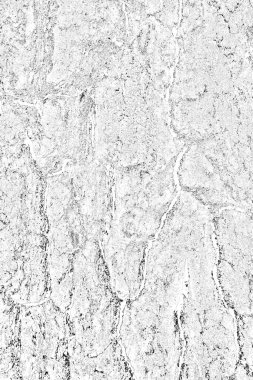 Soyut arkaplan. Monokrom dokusu. Resim siyah ve beyaz tonları içerir.