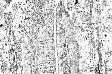 Soyut arkaplan. Monokrom dokusu. Resim siyah ve beyaz tonları içerir.