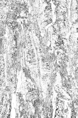 Soyut arkaplan. Monokrom dokusu. Resim siyah ve beyaz tonları içerir.