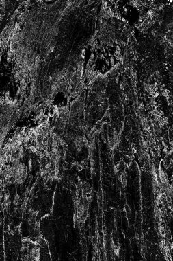 Soyut arkaplan. Monokrom dokusu. Resim siyah ve beyaz tonları içerir.