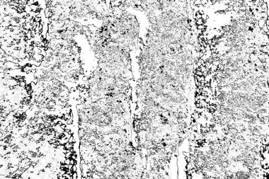 Soyut arkaplan. Monokrom dokusu. Resim siyah ve beyaz tonları içerir.