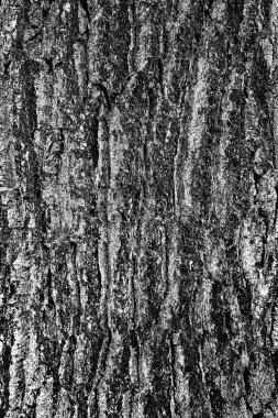 Soyut arkaplan. Monokrom dokusu. Resim siyah ve beyaz tonları içerir.