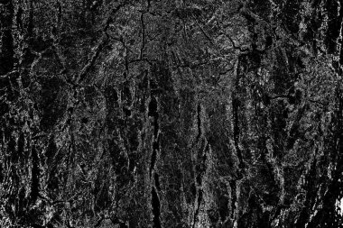 Soyut arkaplan. Monokrom dokusu. Resim siyah ve beyaz tonları içerir.