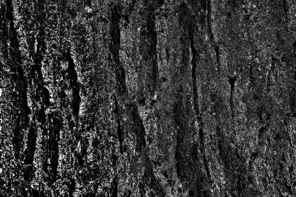 Abstract Background Monochrome Texture Image Includes Effect Black White Tones — Stock Photo, Image