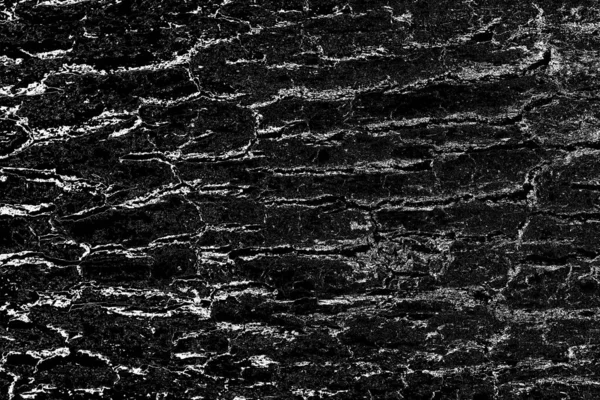 Contexte Abstrait Texture Monochrome Image Comprend Effet Les Tons Noir — Photo