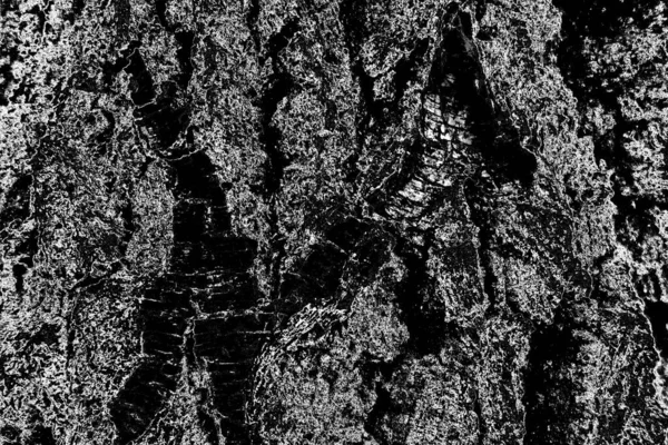 Abstract Background Monochrome Texture Image Includes Effect Black White Tones — Stock Photo, Image