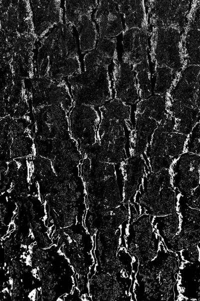 Fundo Abstrato Textura Monocromática Imagem Inclui Efeito Tons Preto Branco — Fotografia de Stock