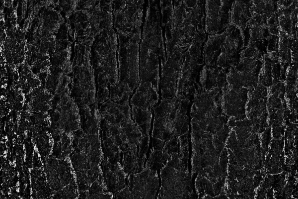 Fundo Abstrato Textura Monocromática Imagem Inclui Efeito Tons Preto Branco — Fotografia de Stock