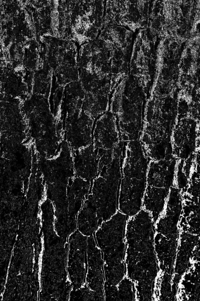 Fundo Abstrato Textura Monocromática Imagem Inclui Efeito Tons Preto Branco — Fotografia de Stock