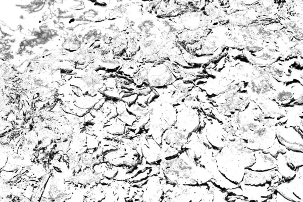 Abstract Background Monochrome Texture Image Includes Effect Black White Tones — Stock Photo, Image