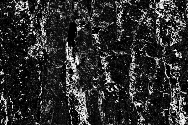 Abstract Background Monochrome Texture Image Includes Effect Black White Tones — Stock Photo, Image