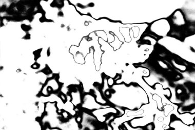 Soyut arkaplan. Monokrom dokusu. Resim siyah ve beyaz tonları içerir.