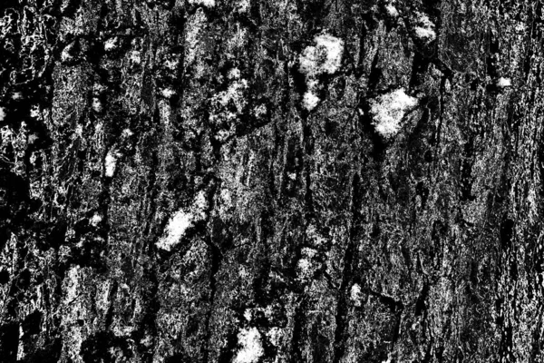 Abstract Grungy Textured Black White Background — Stock Photo, Image