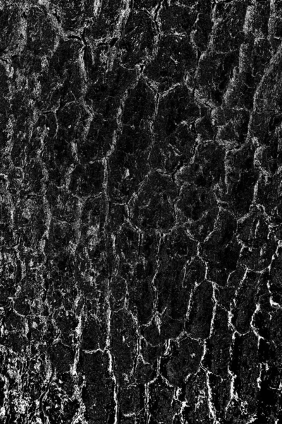 Fundo Abstrato Textura Monocromática Imagem Inclui Efeito Tons Preto Branco — Fotografia de Stock