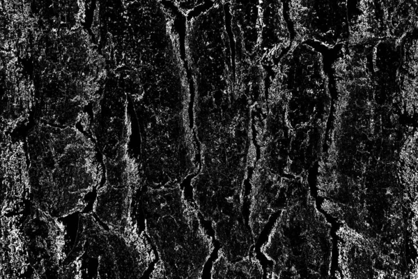 Abstract Background Monochrome Texture Image Includes Effect Black White Tones — Stock Photo, Image