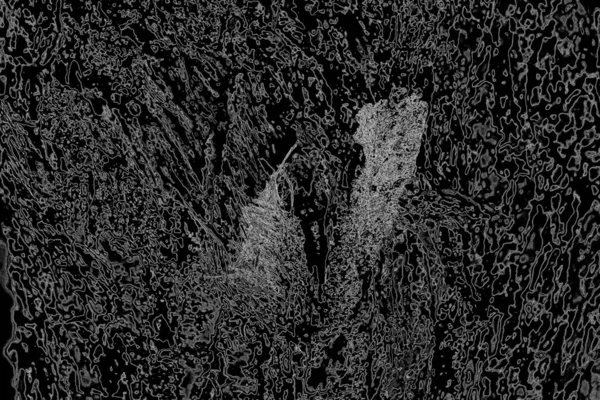 Soyut grungy desenli siyah beyaz arkaplan