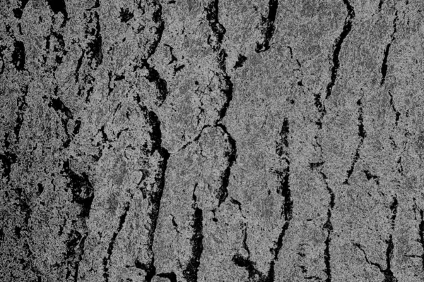 Abstract Grungy Textured Black White Background — Stock Photo, Image