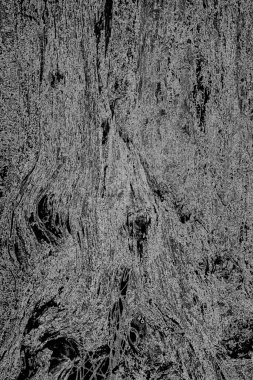 Soyut grungy desenli siyah beyaz arkaplan