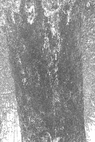Абстрактный Фактурный Черно Белый Фон — стоковое фото
