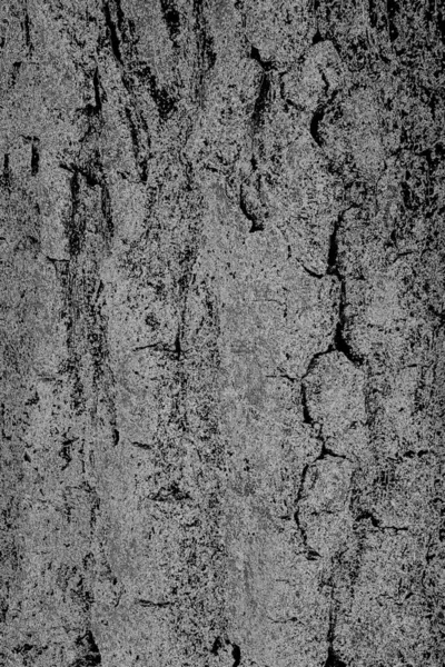 Fondo Blanco Negro Texturizado Grueso Abstracto — Foto de Stock