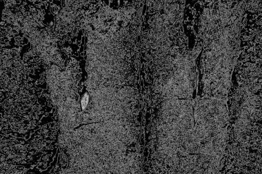 Soyut arkaplan. Monokrom dokusu. Resim siyah ve beyaz tonları içerir.