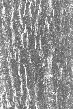 Soyut arkaplan. Monokrom dokusu. Resim siyah ve beyaz tonları içerir.