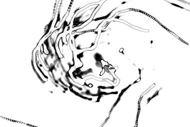 Soyut grungy desenli siyah beyaz arkaplan