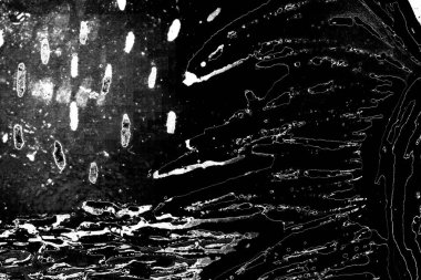 Soyut grungy desenli siyah beyaz arkaplan