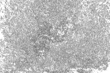 Soyut arkaplan. Monokrom dokusu. Resim siyah ve beyaz tonları içerir.