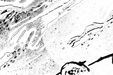 Soyut grungy desenli siyah beyaz arkaplan