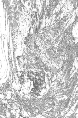 Soyut arkaplan. Monokrom dokusu. Resim siyah ve beyaz tonları içerir.