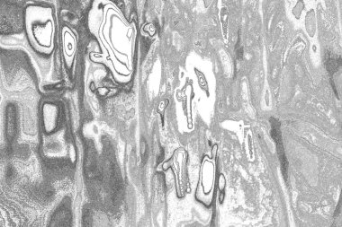 Soyut arkaplan. Monokrom dokusu. Resim siyah ve beyaz tonları içerir.