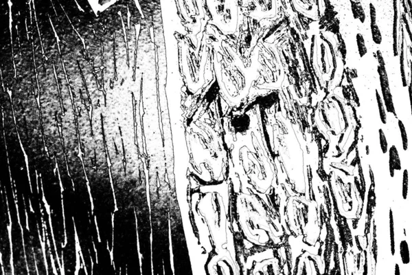 Soyut grungy desenli siyah beyaz arkaplan