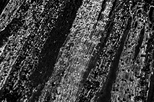 Contexte Abstrait Texture Monochrome Image Comprend Effet Les Tons Noir — Photo