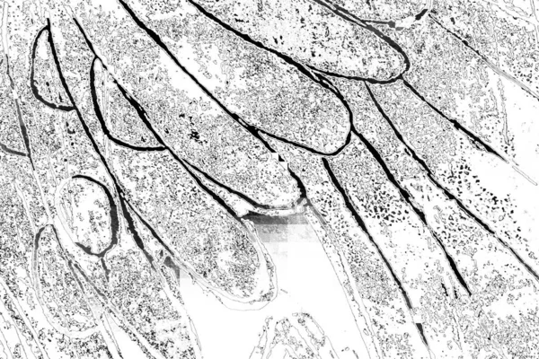 Soyut Grungy Desenli Siyah Beyaz Arkaplan — Stok fotoğraf