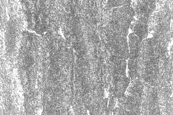 抽象的な背景 モノクロームの質感 画像には黒と白のトーンの効果が含まれています — ストック写真