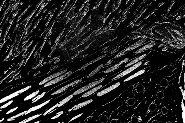 Абстрактний Гранжевий Текстурований Чорно Білий Фон — стокове фото