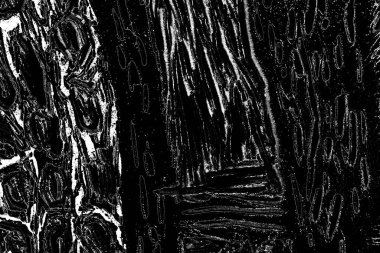 Soyut arkaplan. Monokrom dokusu. Resim siyah ve beyaz tonları içerir.