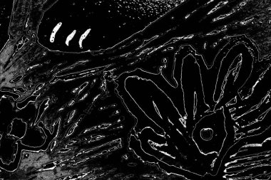 Soyut arkaplan. Monokrom dokusu. Resim siyah ve beyaz tonları içerir.