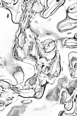 Soyut arkaplan. Monokrom dokusu. Resim siyah ve beyaz tonları içerir.