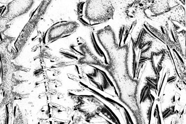 Soyut arkaplan. Monokrom dokusu. Resim siyah ve beyaz tonları içerir.