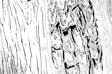 Soyut arkaplan. Monokrom dokusu. Resim siyah ve beyaz tonları içerir.