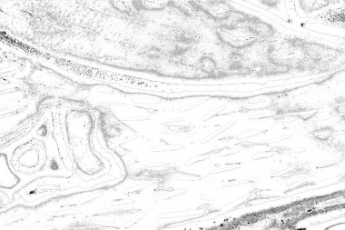 Soyut arkaplan. Monokrom dokusu. Resim siyah ve beyaz tonları içerir.