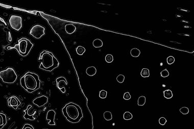 Soyut arkaplan. Monokrom dokusu. Resim siyah ve beyaz tonları içerir.