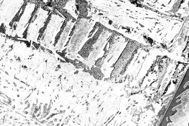 Soyut arkaplan. Monokrom dokusu. Resim siyah ve beyaz tonları içerir.