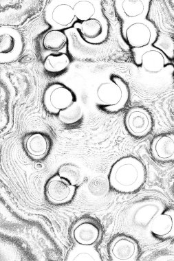 Soyut arkaplan. Monokrom dokusu. Resim siyah ve beyaz tonları içerir.