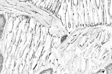 Soyut arkaplan. Monokrom dokusu. Resim siyah ve beyaz tonları içerir.