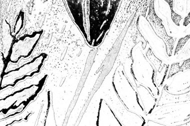 Soyut arkaplan. Monokrom dokusu. Resim siyah ve beyaz tonları içerir.